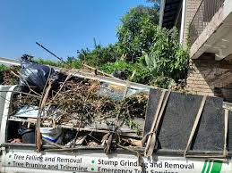  Biscoe, NC Junk Removal Pros