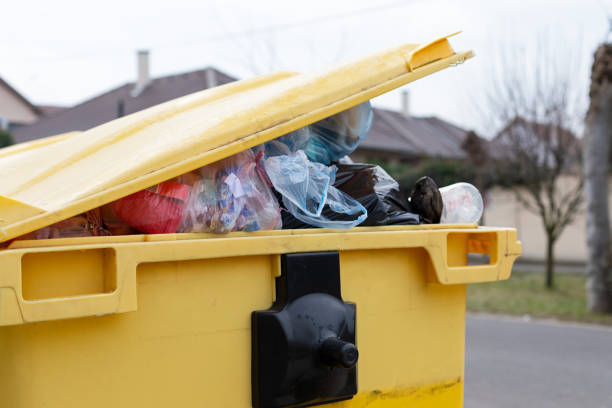 Best Recycling Services for Junk  in Biscoe, NC